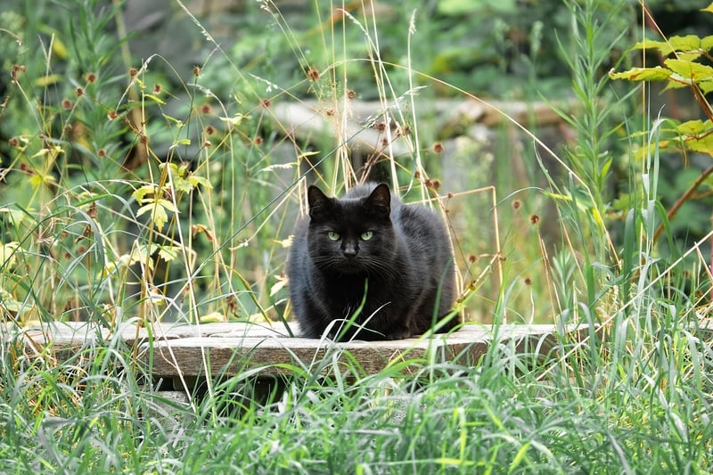 Secret Garden Hideaways